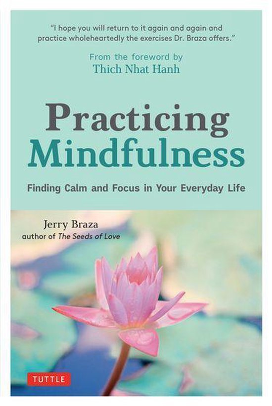 Practicing Mindfulness - cover