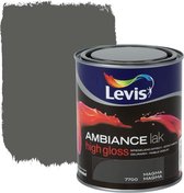 Levis Ambiance Lak High Gloss Magma 0,75L