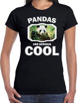 Dieren pandaberen t-shirt zwart dames - pandas are serious cool shirt - cadeau t-shirt panda/ pandaberen liefhebber 2XL