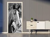 Sticky Decoration - Luxe Deursticker Paardenhoofd zwart-wit - op maat voor jouw deur