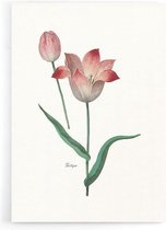 Walljar - Tulipa II - Muurdecoratie - Poster met lijst