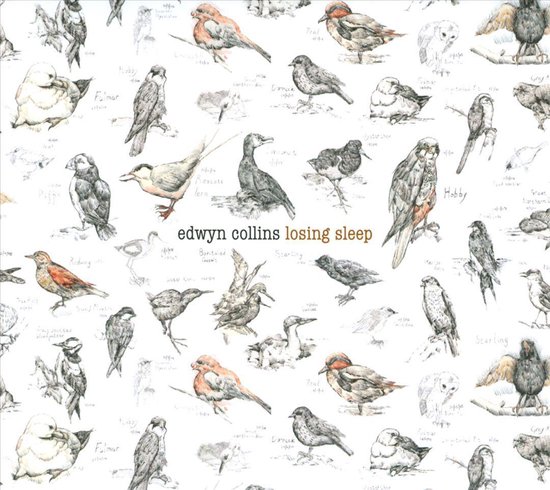 Losing Sleep