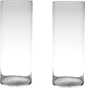 Set van 2x stuks transparante home-basics Cylinder vaas/vazen van glas 50 x 19 cm - Bloemen/takken/boeketten vaas voor binnen gebruik