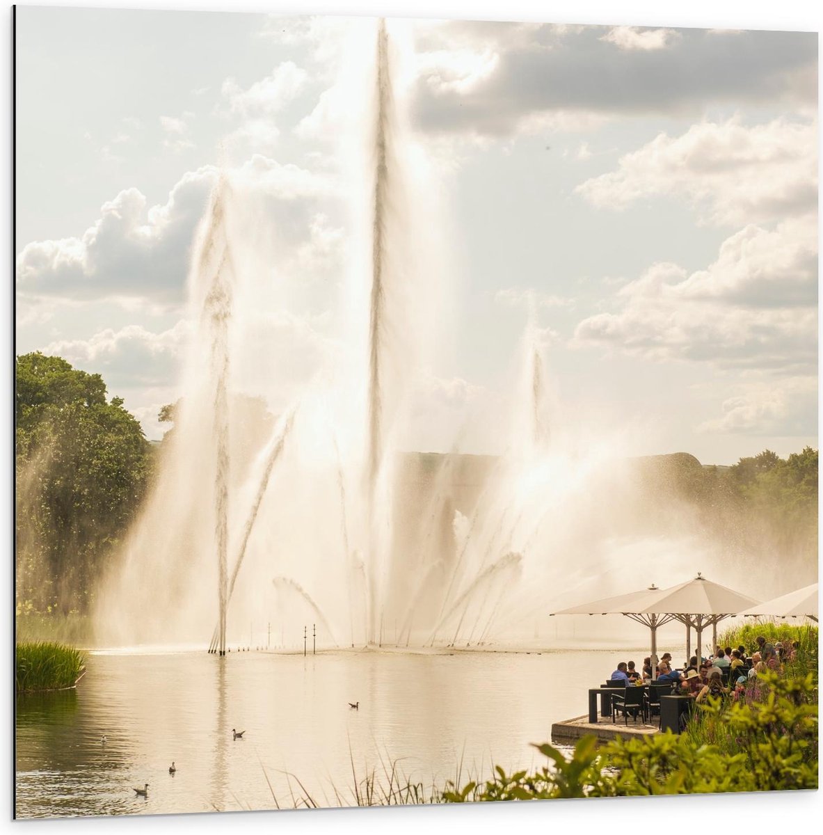 Dibond - Waterfontein - 100x100cm Foto op Aluminium (Met Ophangsysteem)