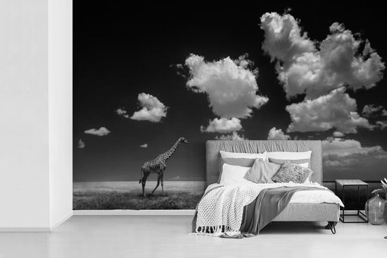 Bol Com Fotobehang Vinyl Giraffe Loopt Door Veld In Zwart Wit Breedte 450 Cm X Hoogte 300 Cm