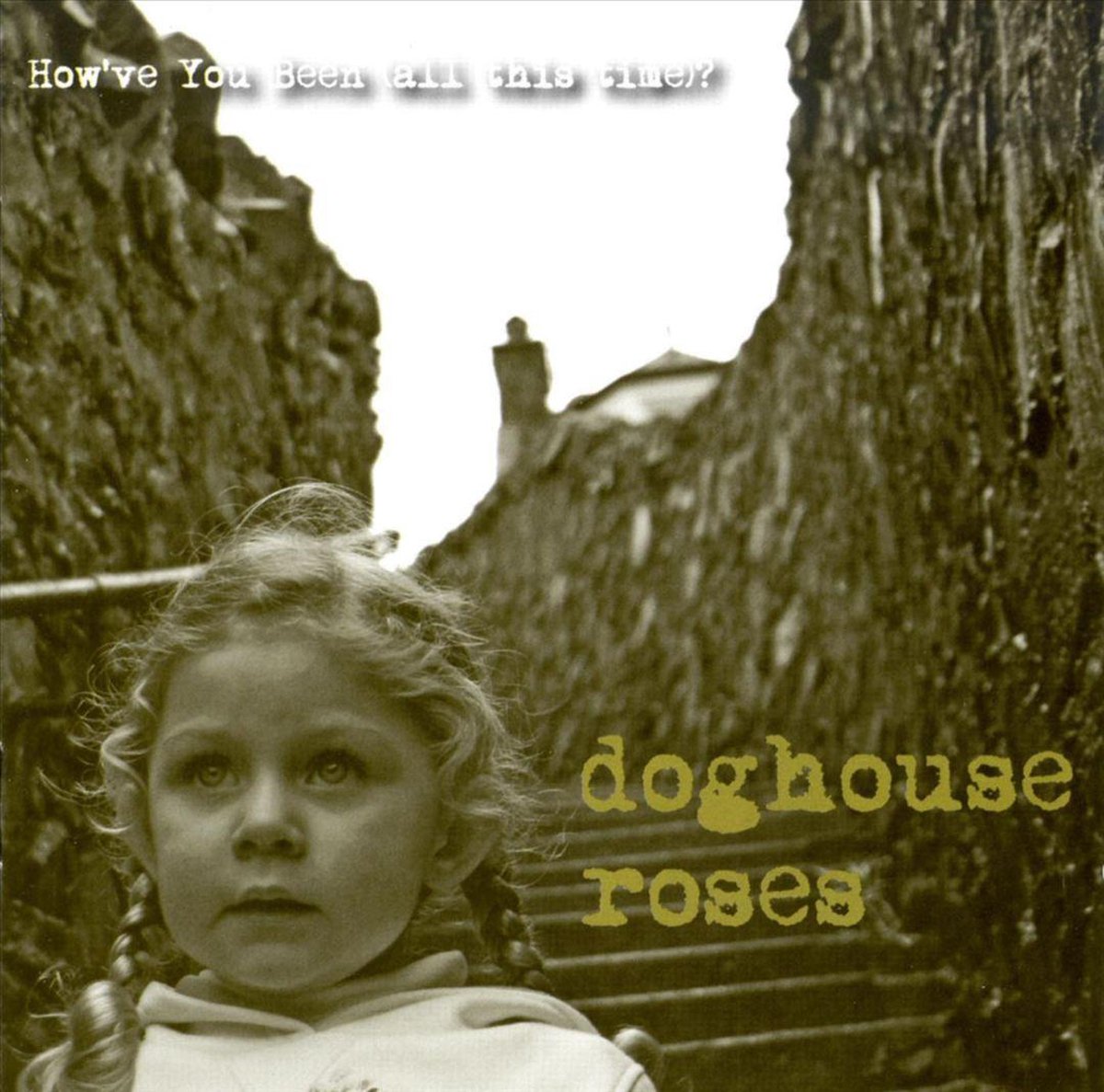 How've You Been (All The Time), Doghouse Roses CD (album) Muziek bol