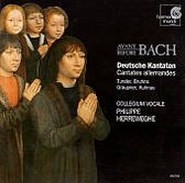 Avant/Before Bach - Deutsche Kantaten / Herreweghe, Collegium Vocale