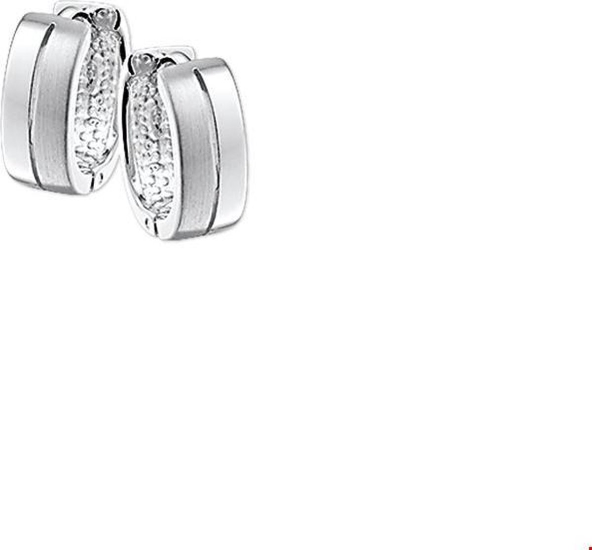 13.22171 Oorbellen zilver