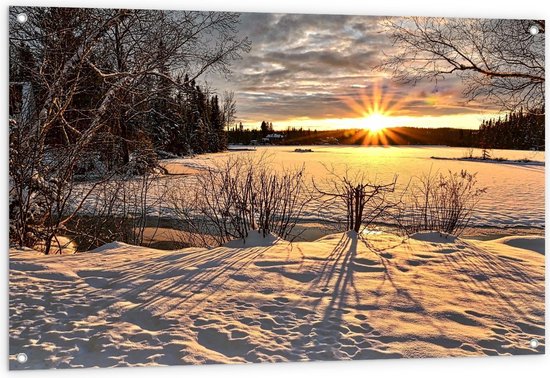 Foto: Tuinposter winters zonnetje bij wei 120x80cm foto op tuinposter wanddecoratie voor buiten en binnen 