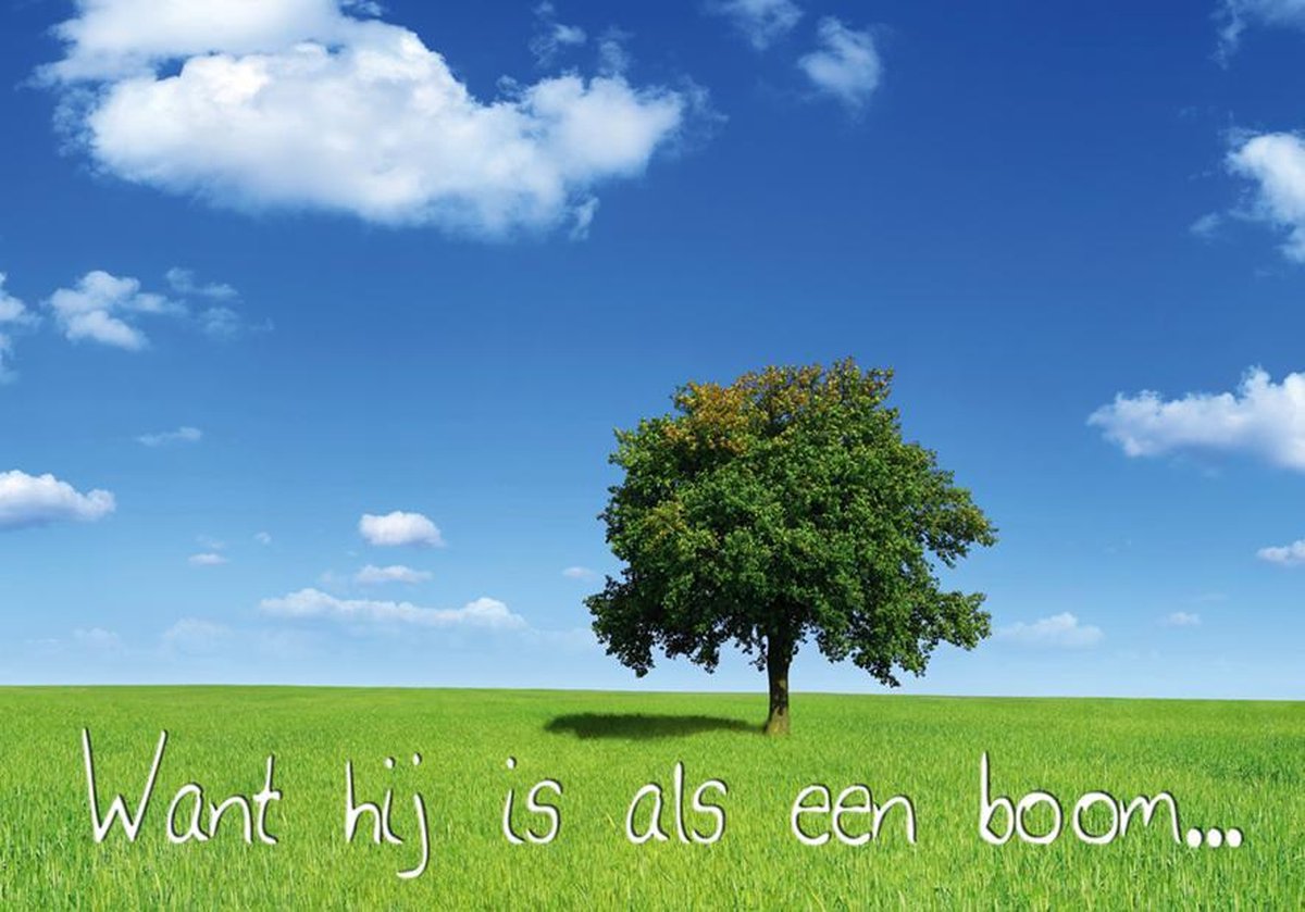 Wenskaart 10x15 cm - Want hij is als een boom... - met Bijbeltekst - set van 10 inclusief enveloppe