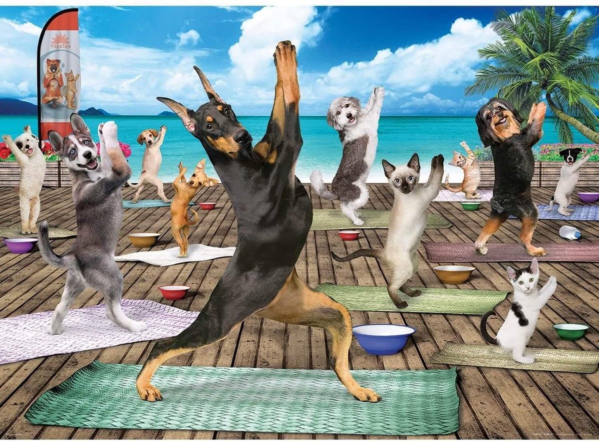 Yoga Spa Puzzel (500 XL stukjes)
