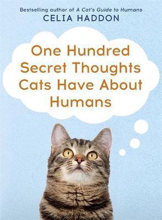 100 Secret Thoughts Cats Have Abo Humans