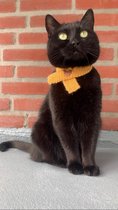 Kattensjaal Luna's Banana's