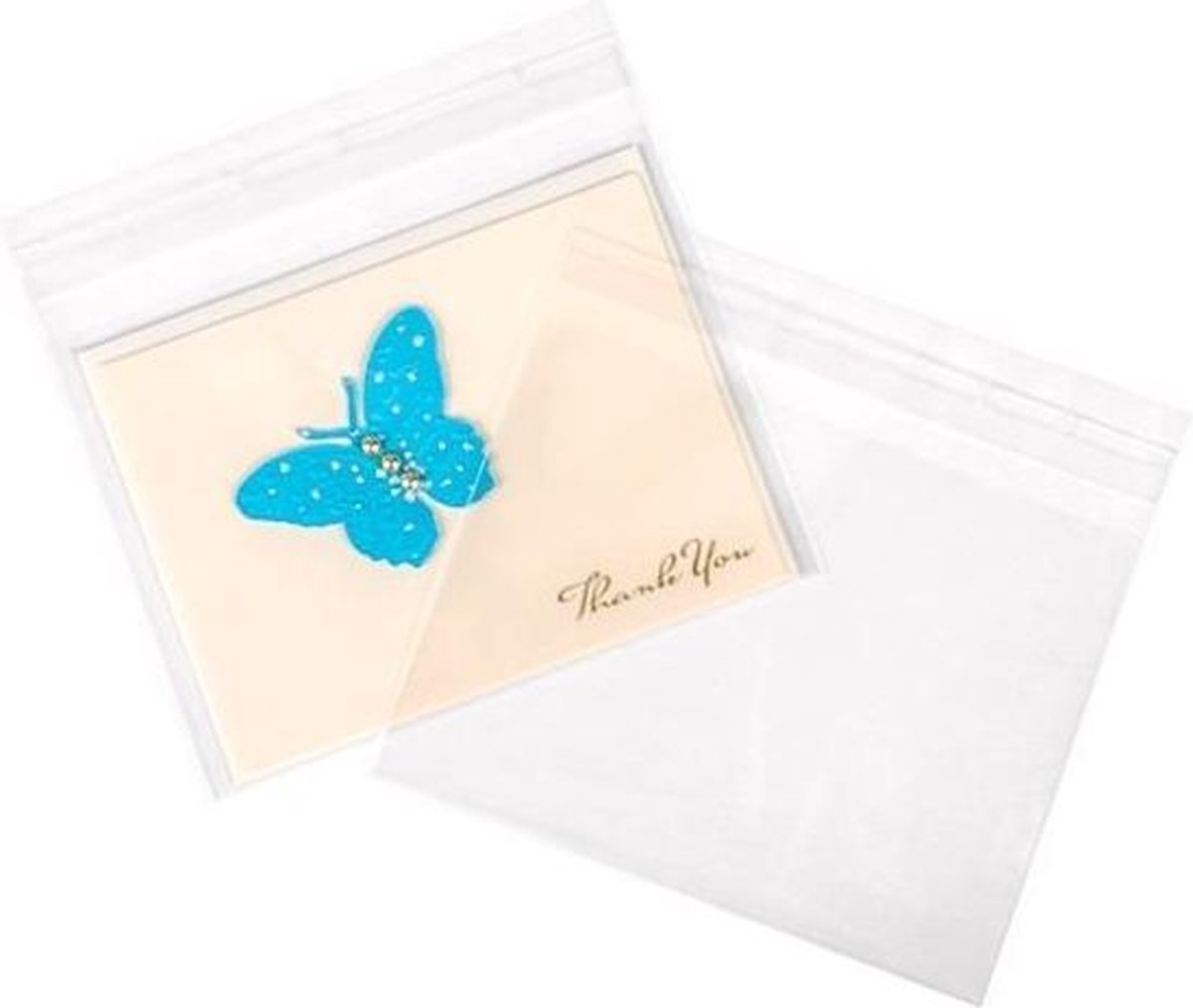 Plastic Zakken 15x11,5cm Transparant en Hersluitbaar (100 stuks) | Plastic zak
