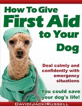How To Give First Aid To Your Dog
