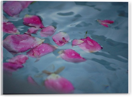 Acrylglas - Rozen Blaadjes in het Water - 40x30cm Foto op Acrylglas (Wanddecoratie op Acrylglas)