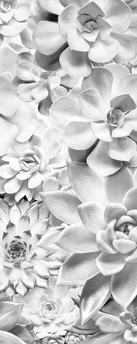 Fotobehang - Shades Black and White 100x250cm - Vliesbehang