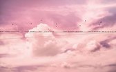Komar Pure | cloud wire | roze wolken | fotobehang op vlies 400x250cm