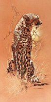 Renato Casaro - Cheetah Kunstdruk 50x100cm