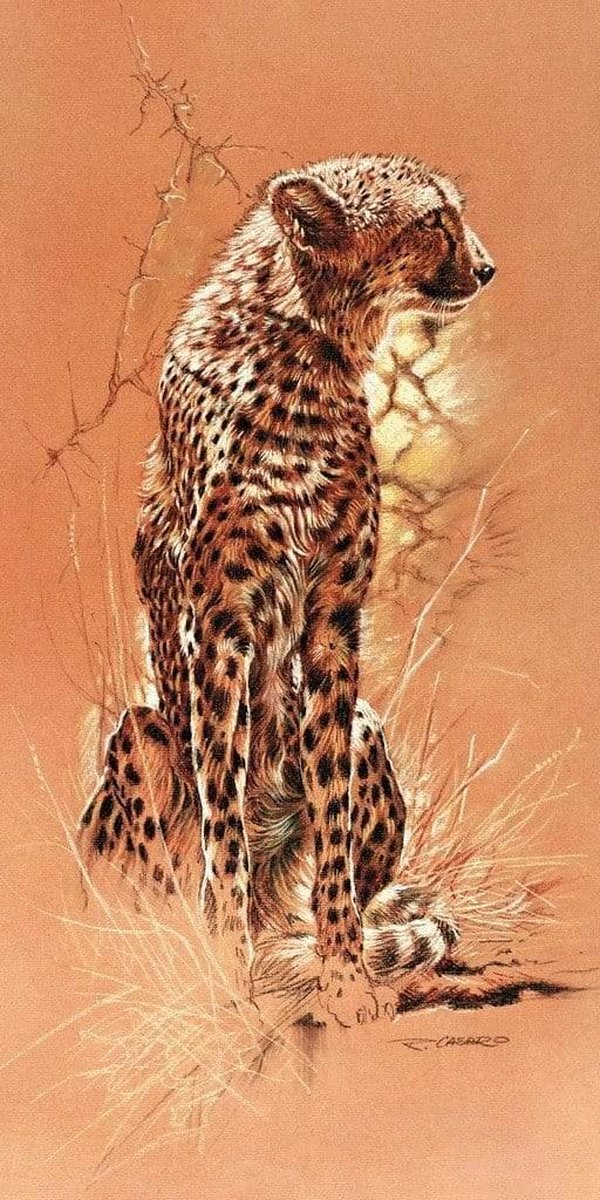PGM Kunstdruk Renato Casaro - Cheetah 50x100cm Divers
