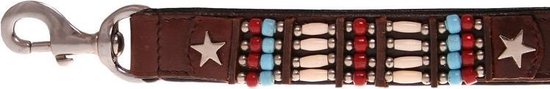 Laisse pour chien Cheyenne Star in the Sky 100 cm