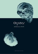 Animal - Oyster