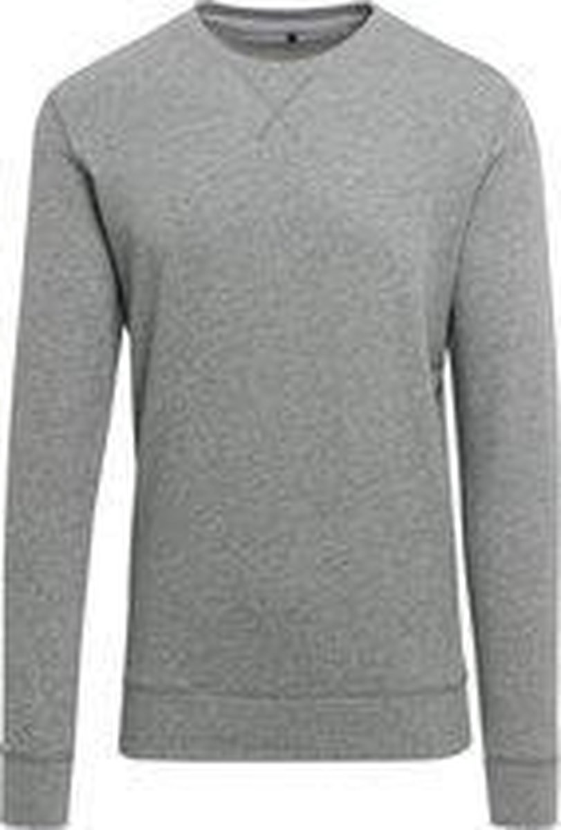 Fenice trui/sweater - Grijs/heather grey