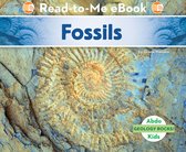 Geology Rocks! - Fossils