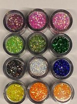 Nail Art - Nagel Glitters - Acryl - Gel - Gezicht - Ogen - Lippen - Lichaam - Diverse Kleuren - Set 12 Stuks x 10 ML
