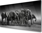 Glasschilderij Afrikaanse olifanten | 4 mm veiligheidsglas | 125 X 50 cm | Blind ophangsysteem