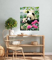 JDBOS ® Peinture par numéro avec cadre (bois) - Mère Panda avec petit - Peinture adultes - 40x50 cm