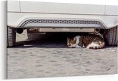 Schilderij - kat onder een auto — 100x70 cm