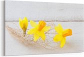 Schilderij - Gele narcis bloemen — 90x60 cm