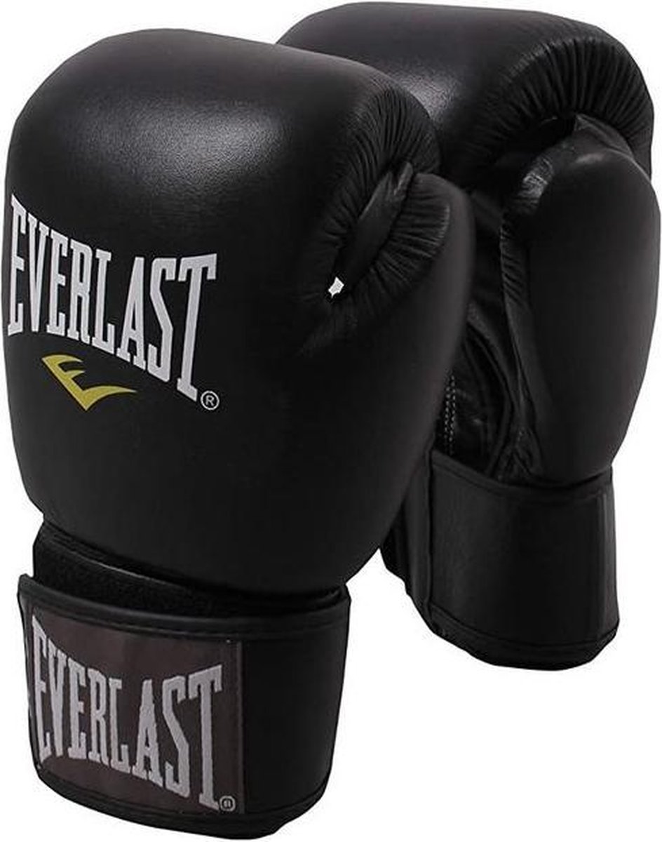 Everlast pro style sale muay thai gloves