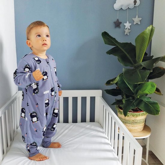 Baby slaapzak met benen - babyslaapzak - jongens pyjama - 18 to 30  maanden-... | bol.com