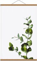 Schoolplaat – Plant voor Witte Muur - 60x90cm Foto op Textielposter (Wanddecoratie op Schoolplaat)