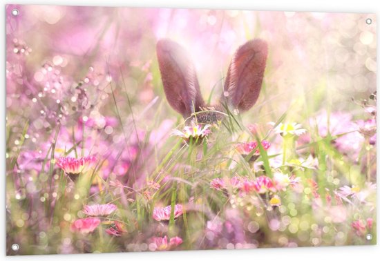 Tuinposter – Konijnen Oortjes in het Gras - 120x80cm Foto op Tuinposter  (wanddecoratie voor buiten en binnen)