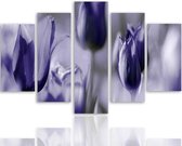 Schilderij , Paarse tulpen 2 , 4 maten , 5 luik , paars grijs , wanddecoratie , XXl