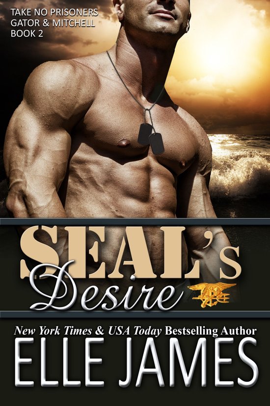 Take No Prisoners - SEAL's Desire - cover