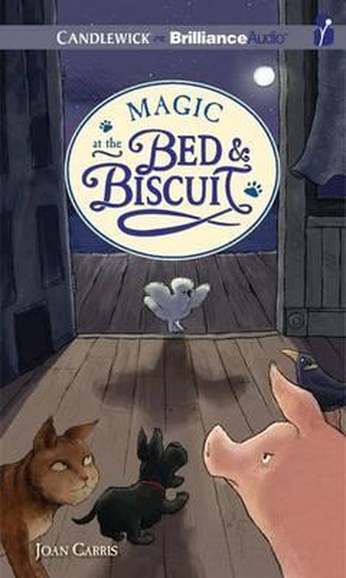 bed and biscuit austin