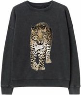 KIDS ONLY KONLUCINDA LIFE LS DROP TIGRLEO CS SWT Meisjes Trui - Maat 122128