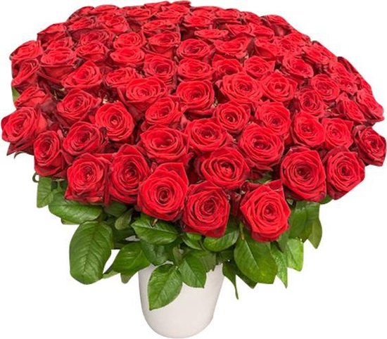 Uittreksel Echt breedte 80 rode rozen in vaas | bol.com
