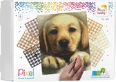 Pixelhobby geschenkdoos 4 basisplaten - Puppy
