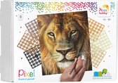 Pixelhobby geschenkdoos 9 basisplaten - Leeuw