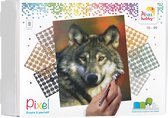 Pixelhobby geschenkdoos 9 basisplaten - Wolf