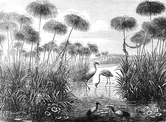 Zwart-witte flamingo uitzicht Canvas 120 x 90 cm