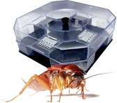 WDMT™ Kakkerlakkenval | 14 x 14 x 5 cm | 4 ingangen | Val voor het vangen van kakkerlakken | Inclusief lokvoer | Kakkerlak val