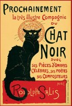 Affiche Chat Noir 61x91,5cm