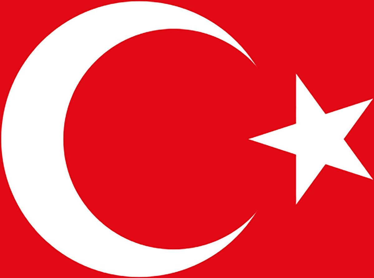 Vlag Turkije 90x150cm - Ooms Feestwinkel