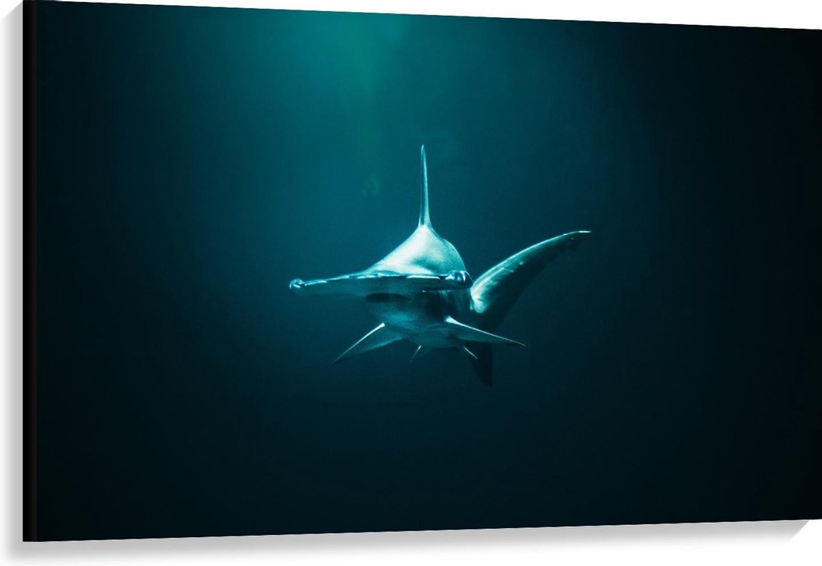 Canvas  - Hamerhaai in de Zee - 120x80cm Foto op Canvas Schilderij (Wanddecoratie op Canvas) op Prijzenvolger.com